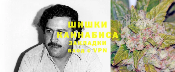 spice Аркадак