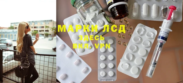 spice Аркадак