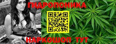 соль ск Аргун
