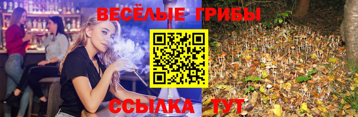 Галлюциногенные грибы MAGIC MUSHROOMS Белогорск